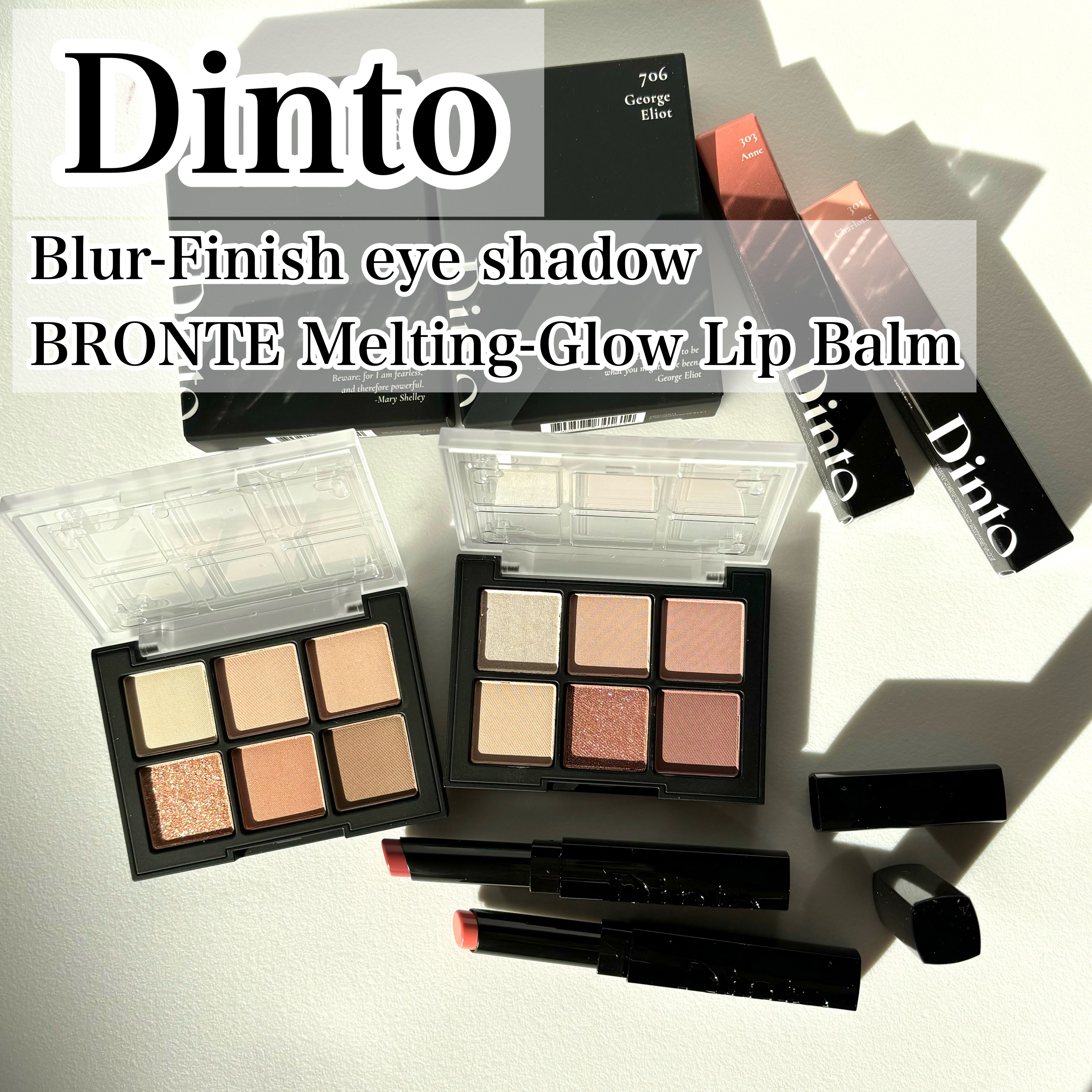 ブラーフィニシュシャドウパレット/Dinto/アイシャドウパレットを使ったクチコミ（1枚目）