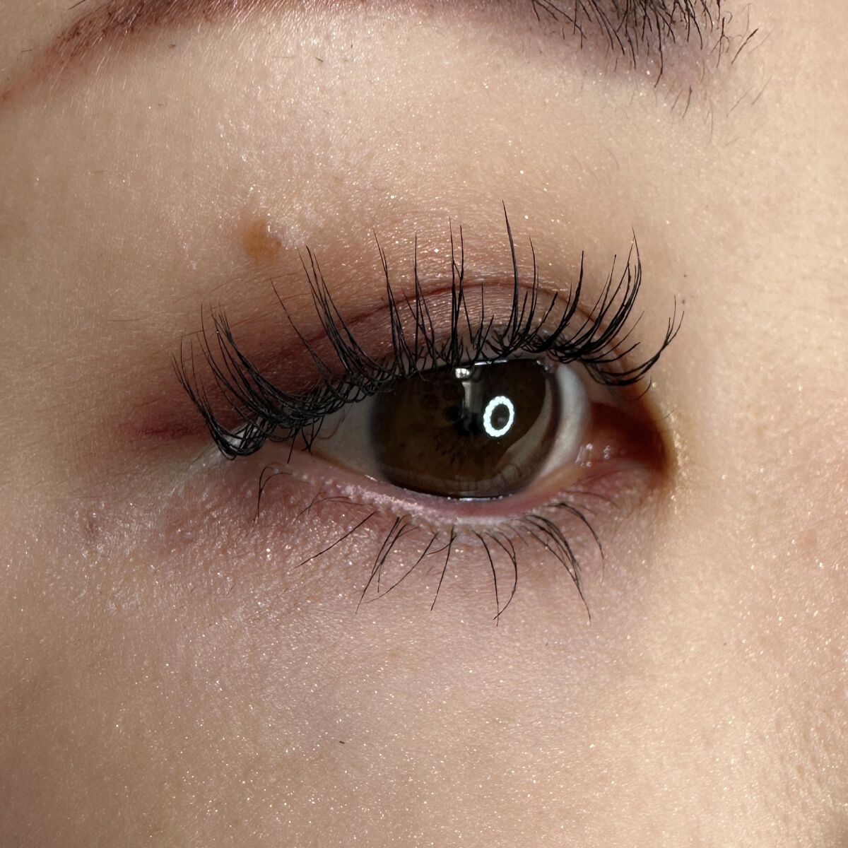 オンブル ジェ/GUERLAIN/アイシャドウパレットを使ったクチコミ（2枚目）