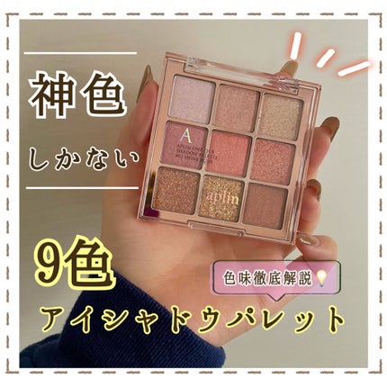 ワンピックアイシャドウパレット/APLIN/アイシャドウパレットを使ったクチコミ(1枚目)