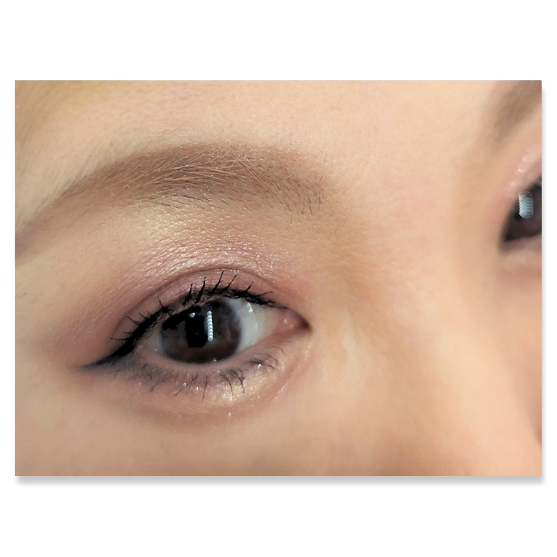 長相思シリーズ 9色アイシャドウパレット C08 モランディ/CATKIN/アイシャドウパレットを使ったクチコミ（2枚目）