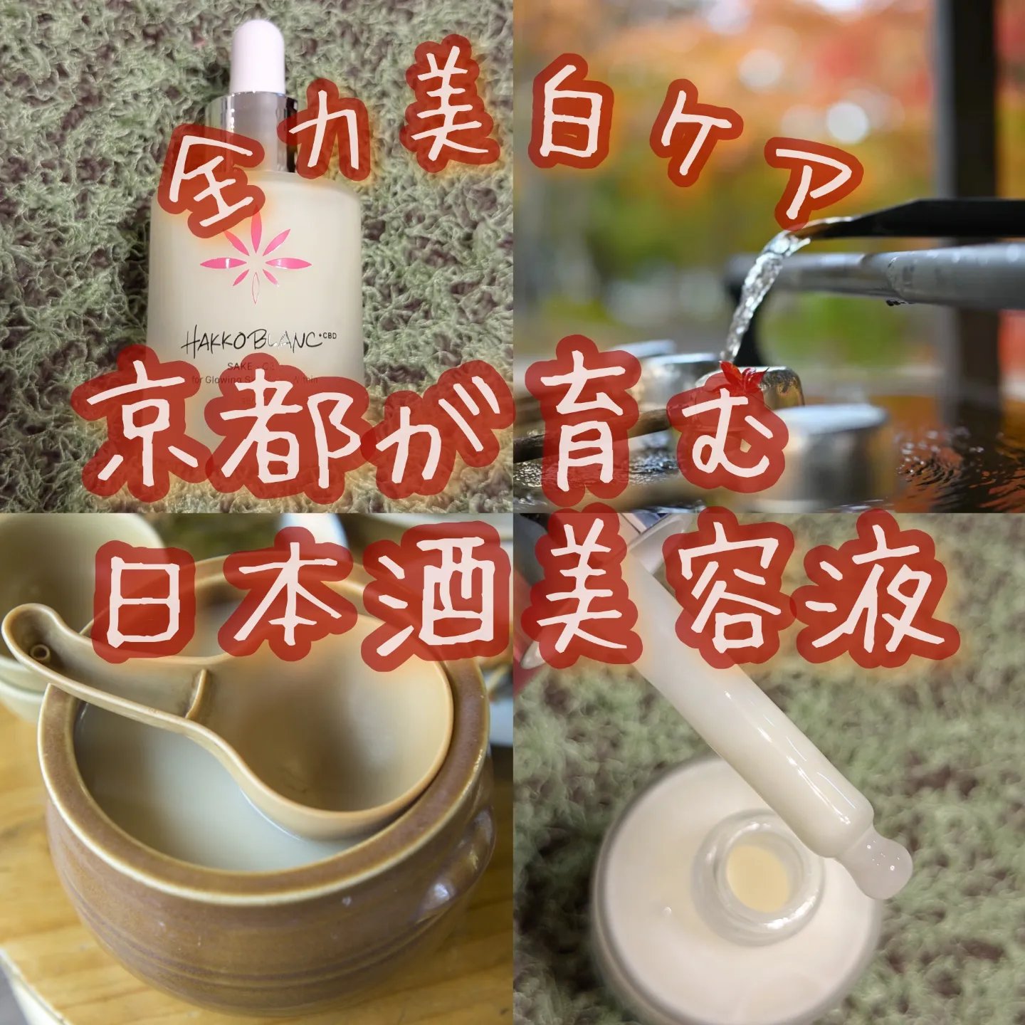 発酵ブラン　美容液 /HAKKOBLANC/美容液を使ったクチコミ（1枚目）