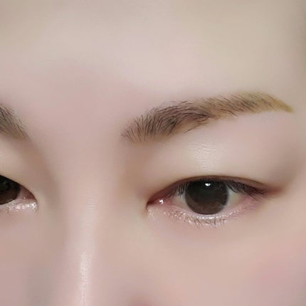 アイブロウL&P/Linoue/パウダーアイブロウを使ったクチコミ(5枚目)