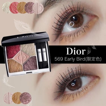 サンク クルール クチュール＜バーズ オブ ア フェザー＞/Dior/パウダーアイシャドウを使ったクチコミ（1枚目）