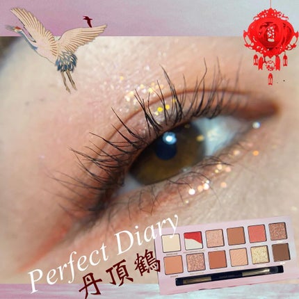 エクスプローラ12色 動物アイシャドウパレット/PERFECT DIARY/アイシャドウパレットを使ったクチコミ(1枚目)