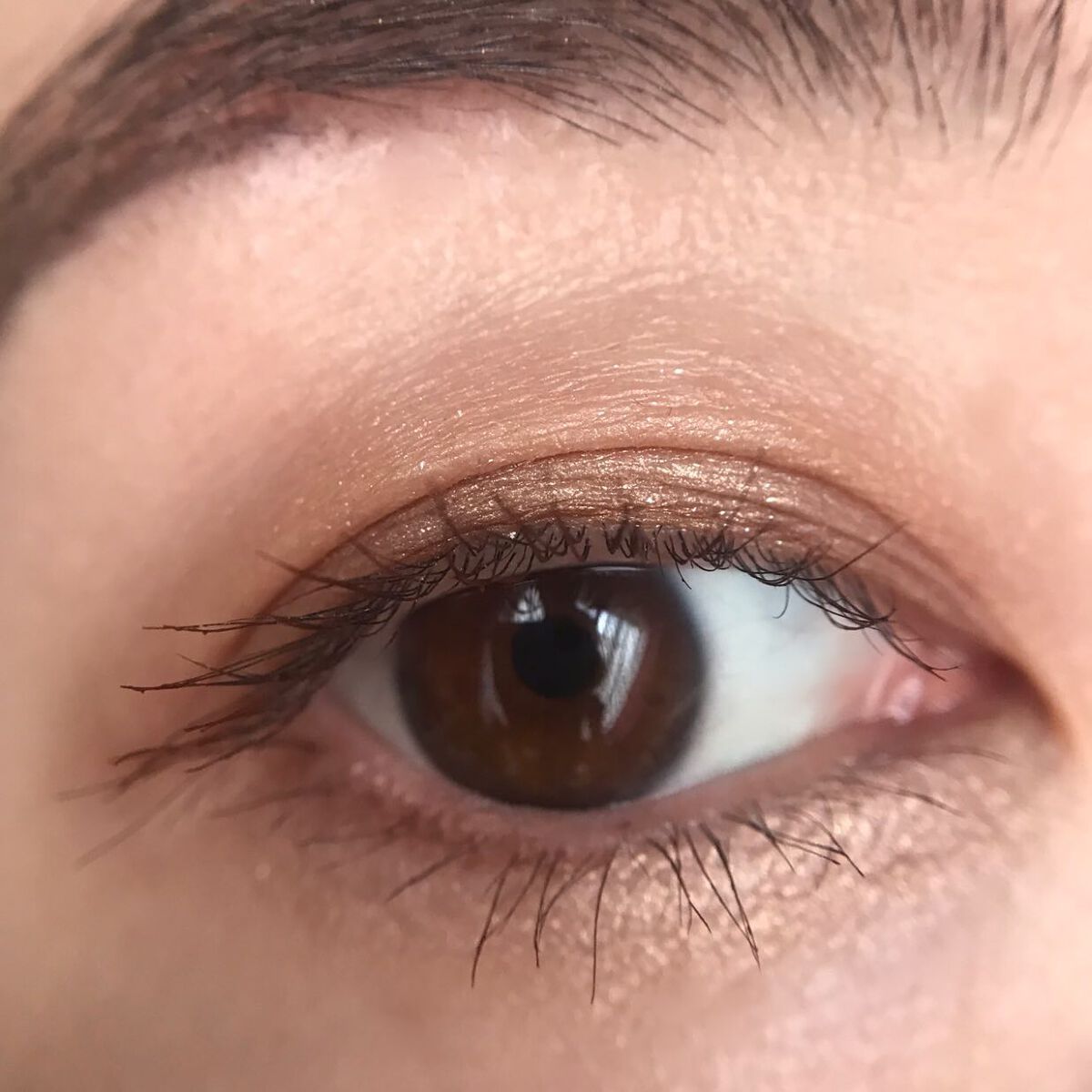 アイカラーレーション/LUNASOL/アイシャドウパレットを使ったクチコミ(8枚目)