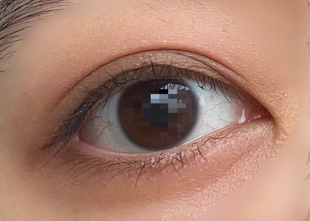 THE アイパレR/b idol/アイシャドウパレットを使ったクチコミ（2枚目）