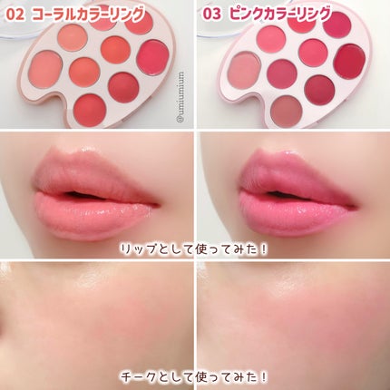 ムードペインティングリップアンドチークパレット/dasique/マルチパレットを使ったクチコミ(5枚目)