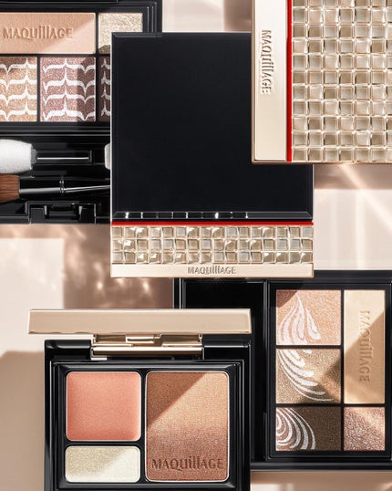 ドラマティックスタイリングアイズ/マキアージュ/アイシャドウパレットを使ったクチコミ(1枚目)