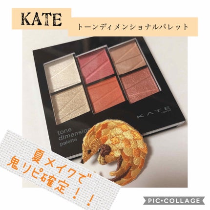 トーンディメンショナルパレット/KATE/メイクアップキットを使ったクチコミ(1枚目)