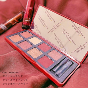 ガナッシュ アンド プラリネ アイパレット フランボワーズベリー/shu uemura/アイシャドウパレットを使ったクチコミ（1枚目）