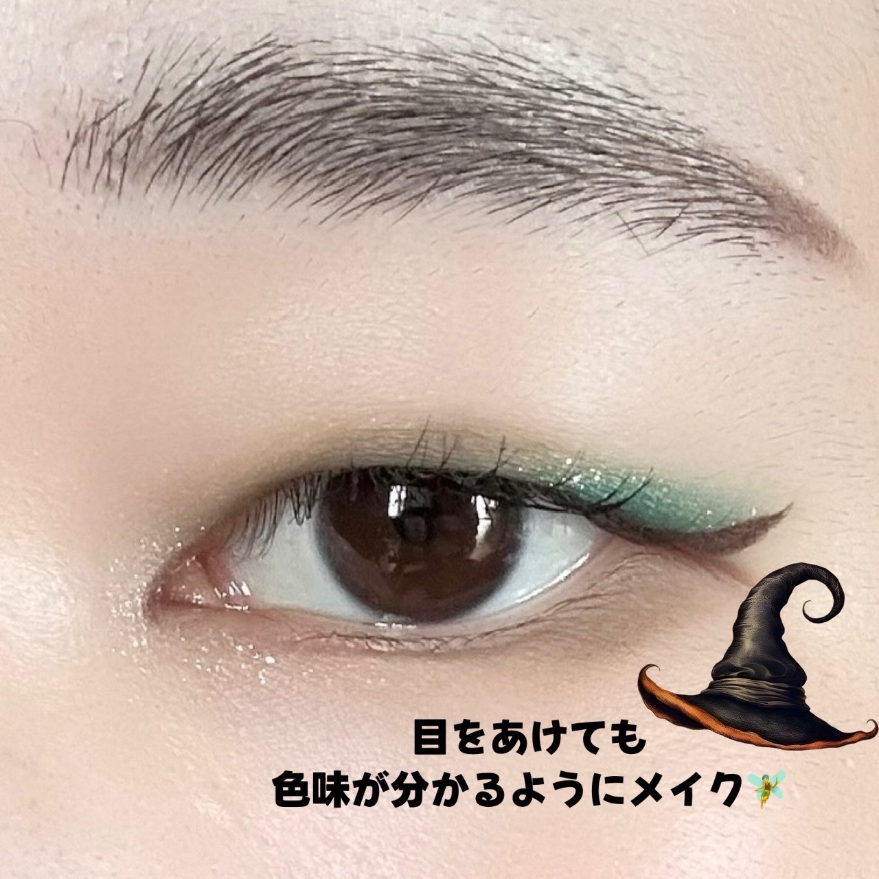 SHEGLAM ハリーポッター ホグワーツの家パレットのクチコミ「
色味が可愛すぎる🍀
ハリーポッター ホグワーツの家パレットSHEGLAM

ハリーポッターシ.....」（2枚目）