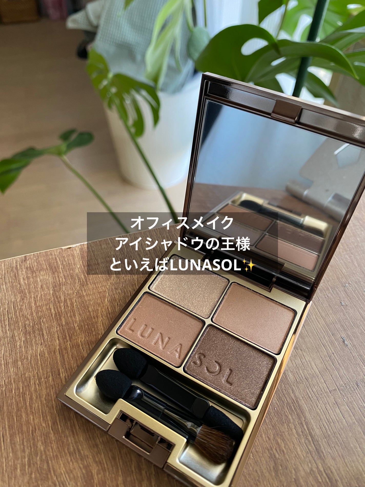 スキンモデリングアイズ/LUNASOL/アイシャドウパレットを使ったクチコミ(1枚目)