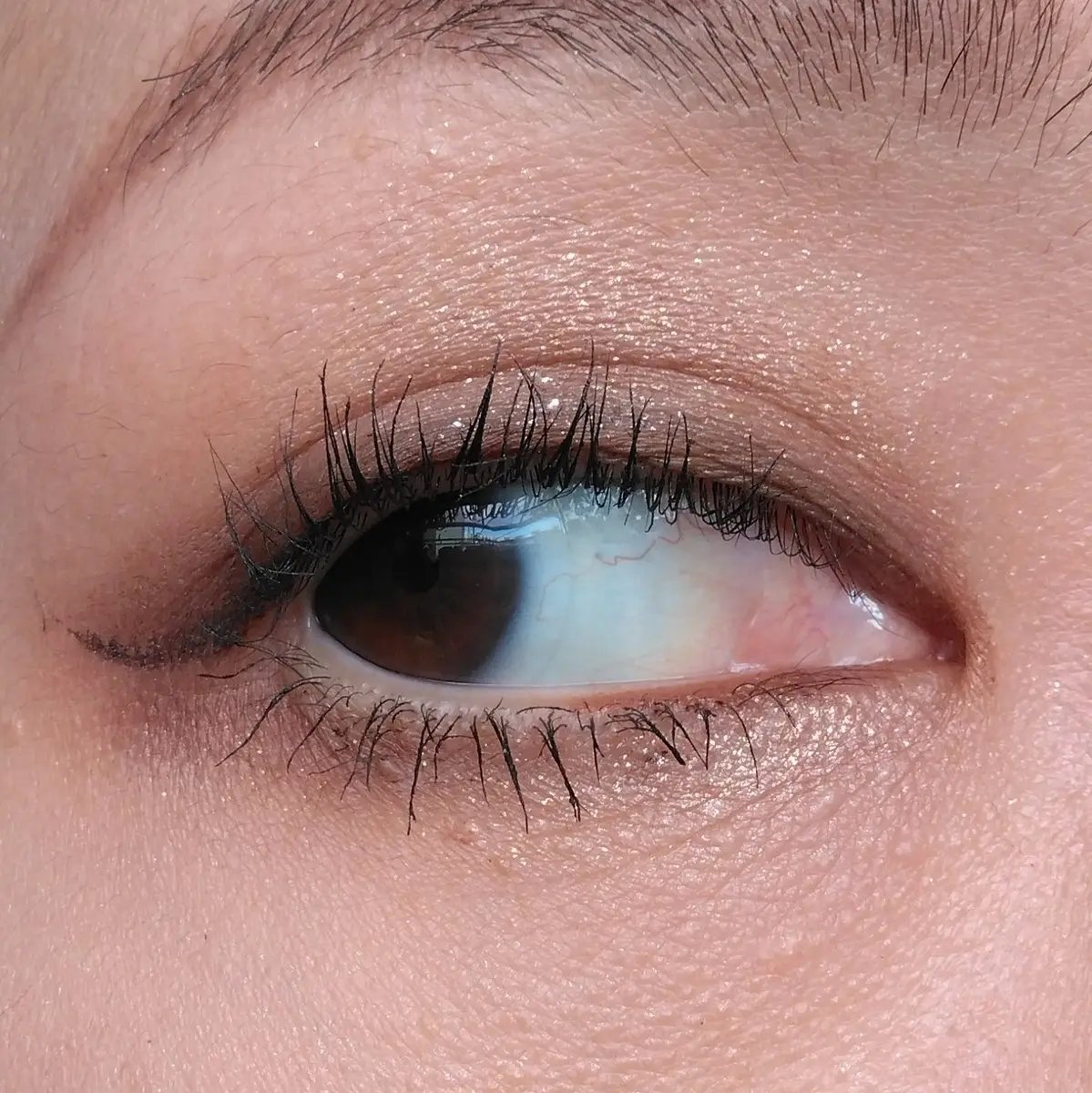 アイコアパレット/espoir/アイシャドウパレットを使ったクチコミ（2枚目）