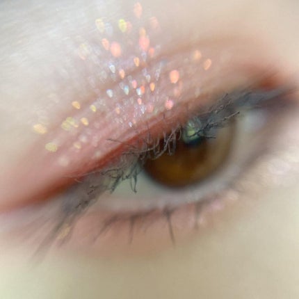 エクスプローラ12色 動物アイシャドウパレット/PERFECT DIARY/アイシャドウパレットを使ったクチコミ(3枚目)