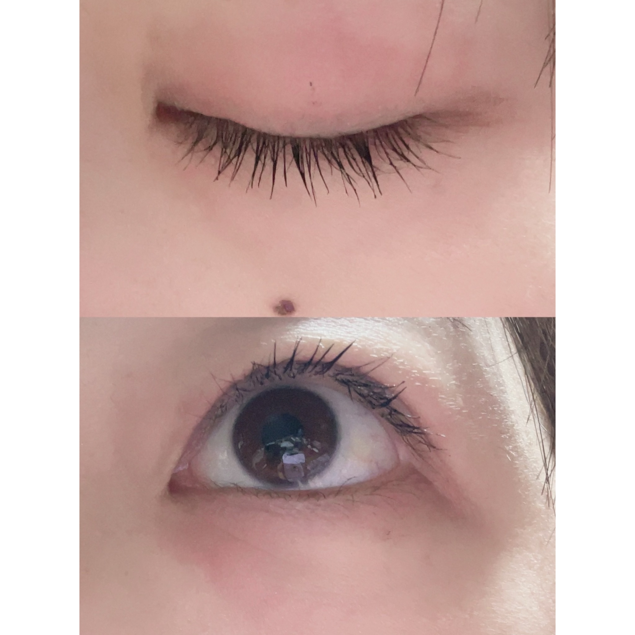 フル ラッシュ カーラー/M・A・C/ビューラーを使ったクチコミ（2枚目）