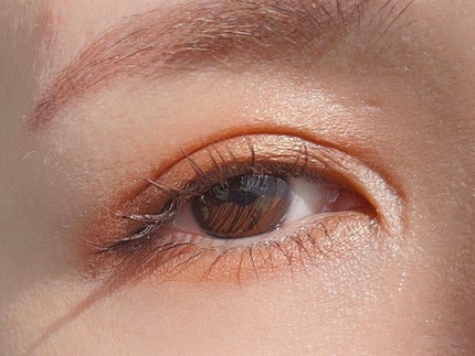 レ キャトル オンブル/CHANEL/アイシャドウパレットを使ったクチコミ(8枚目)