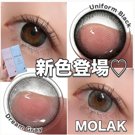 MOLAK 1day/MOLAK/ワンデー(1DAY)カラコンを使ったクチコミ(1枚目)