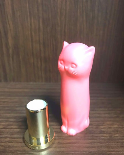 リップスティック ケース N/PAUL & JOE BEAUTE/その他化粧小物を使ったクチコミ(2枚目)