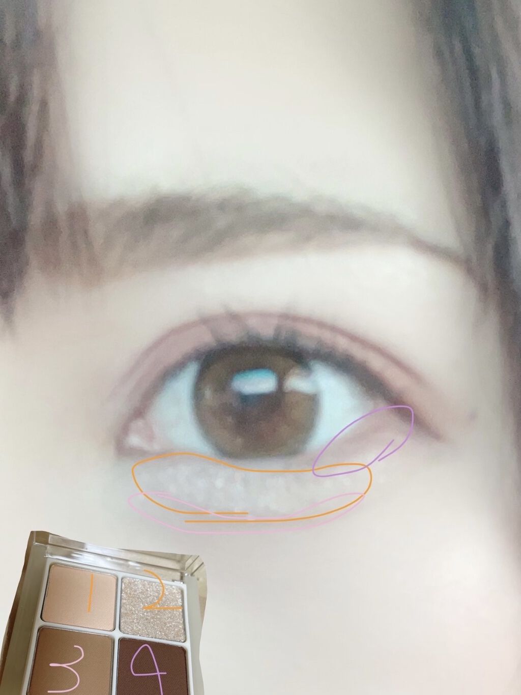 ロイヤルヴィンテージ アイズ/リンメル ロンドン/アイシャドウパレットを使ったクチコミ（2枚目）