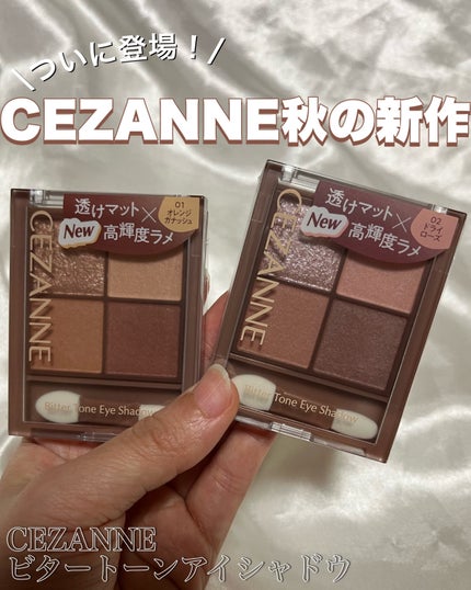 ビタートーンアイシャドウ/CEZANNE/パウダーアイシャドウを使ったクチコミ(1枚目)
