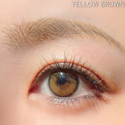 ロングステイ アイブロウパウダー&ペンシル/ブリリアージュ/アイブロウペンシルを使ったクチコミ(9枚目)