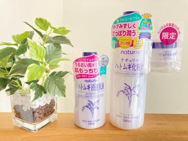 ハトムギ化粧水(ナチュリエ スキンコンディショナー R )/ナチュリエ/化粧水を使ったクチコミ（1枚目）