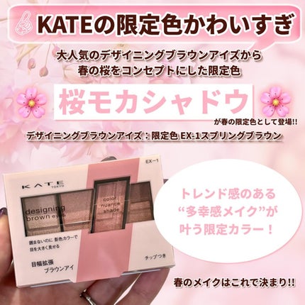 デザイニングブラウンアイズ/KATE/アイシャドウパレットを使ったクチコミ(2枚目)