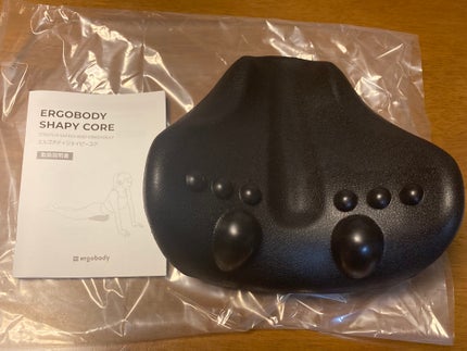 オールデイセラムメイクアップフィクサー/ダルバ/フィックスミストを使ったクチコミ(6枚目)