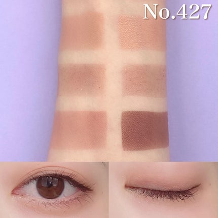 プロアイシャドウパレットセシル/CELEFIT/アイシャドウパレットを使ったクチコミ(3枚目)