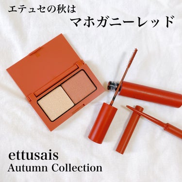 アイエディション(カラーパレット)/ettusais/アイシャドウパレットを使ったクチコミ（1枚目）