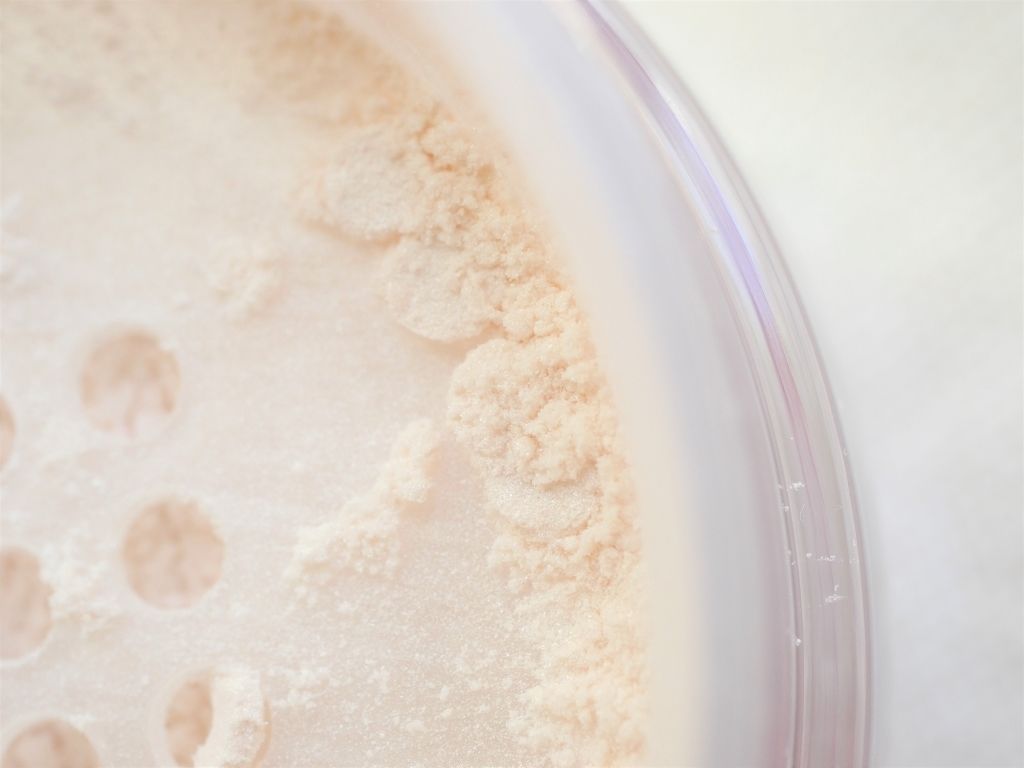 フェイスパウダー/DECORTÉ/ルースパウダーを使ったクチコミ（2枚目）