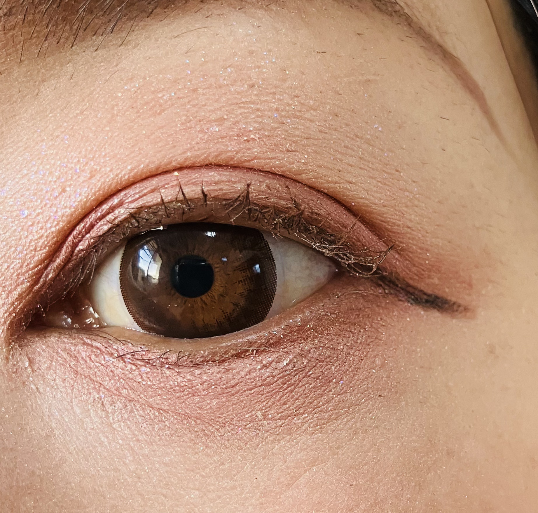 リアルクローズシャドウ CX02 ワッフルローブ/excel/アイシャドウパレットを使ったクチコミ（2枚目）