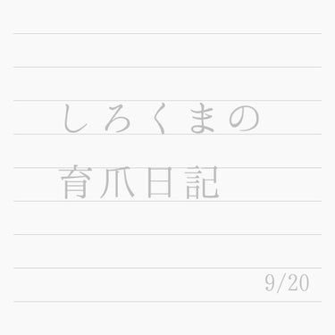 こんにちは、しろくまです。

9月20日の爪、こんな感じです。

マニキュアをオフした直後に撮ったからガッサガサ😅

爪を触る癖のせいでネイルを剥がしちゃって爪にダメージが🤦‍♀️

前に1度伸ばせた長