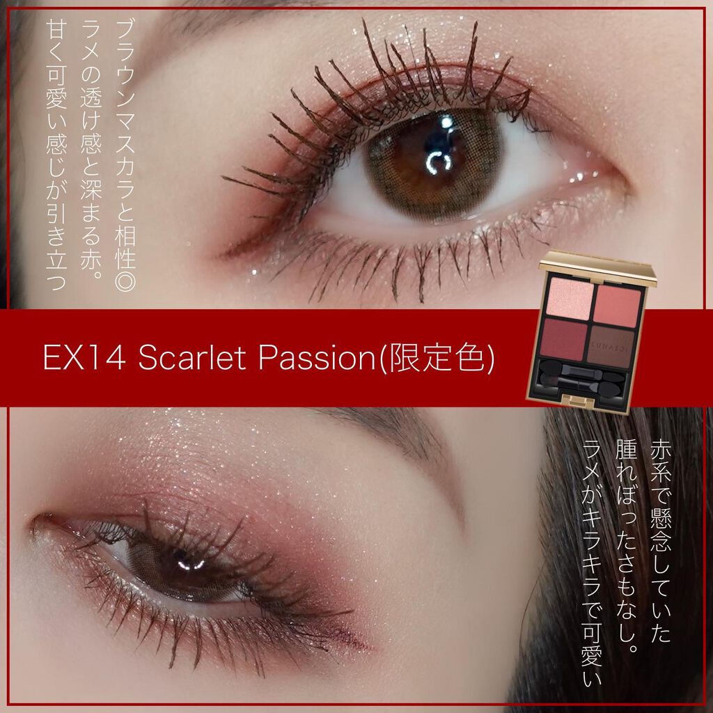 メイクアップルナソル アイカラーレーション EX14 スカーレット