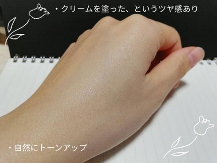 ベースコントロールカラー UV ラベンダーピンク/NOV/化粧下地を使ったクチコミ(4枚目)