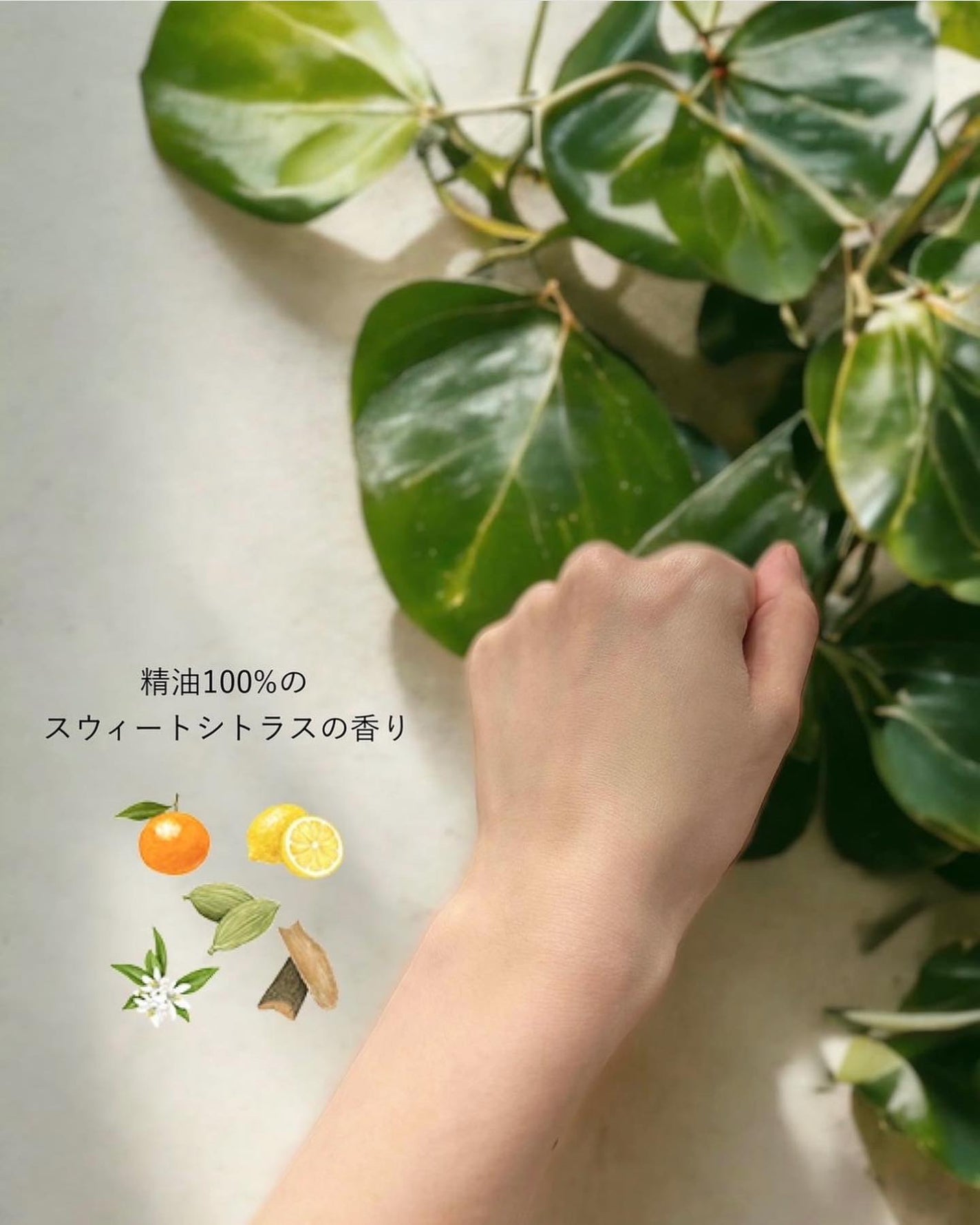 ベース クリアUVプロテクター/N organic/日焼け止めクリームを使ったクチコミ(5枚目)