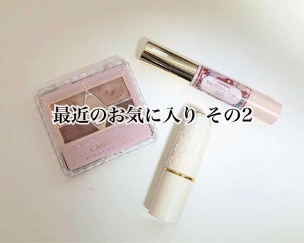 ステイオンバームルージュ/キャンメイク/口紅を使ったクチコミ(1枚目)