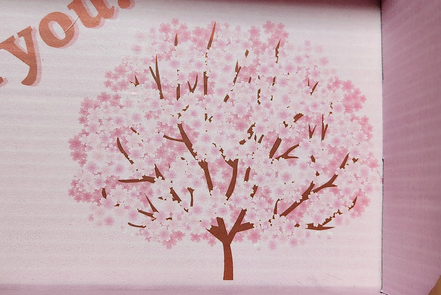 MOSAIC ボックス/MOSAIC/その他キットセットを使ったクチコミ(2枚目)