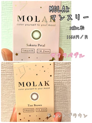 
MOLAK  1Month2種比較。サクラペタルとティントブラウン。

目のアップがありますので閲覧注意です。

前の記事でも2種比較しましたが今回は着色直径13.3mm。
11.9や12.8に比べるとやはり盛り感がでてしまいます。
慣れればそんなことないですが、サクラペダルは縁がはっきりしています。
ティントブラウンは縁がポンやりしていて、瞳がウルウルみえます。
充血もしてるので「泣いたの？」と思われるかな、ともおもいました。

MOLAKのワンマンスはサイズがたくさんなのでワンデーで試しておけばよかったかなぁと今更後悔。

結論、ダズルベージュを追加購入する予定です。

開封してから1か月もつのでもう少しティントブラウンをたのしみたいとおもいます。
の画像 その0