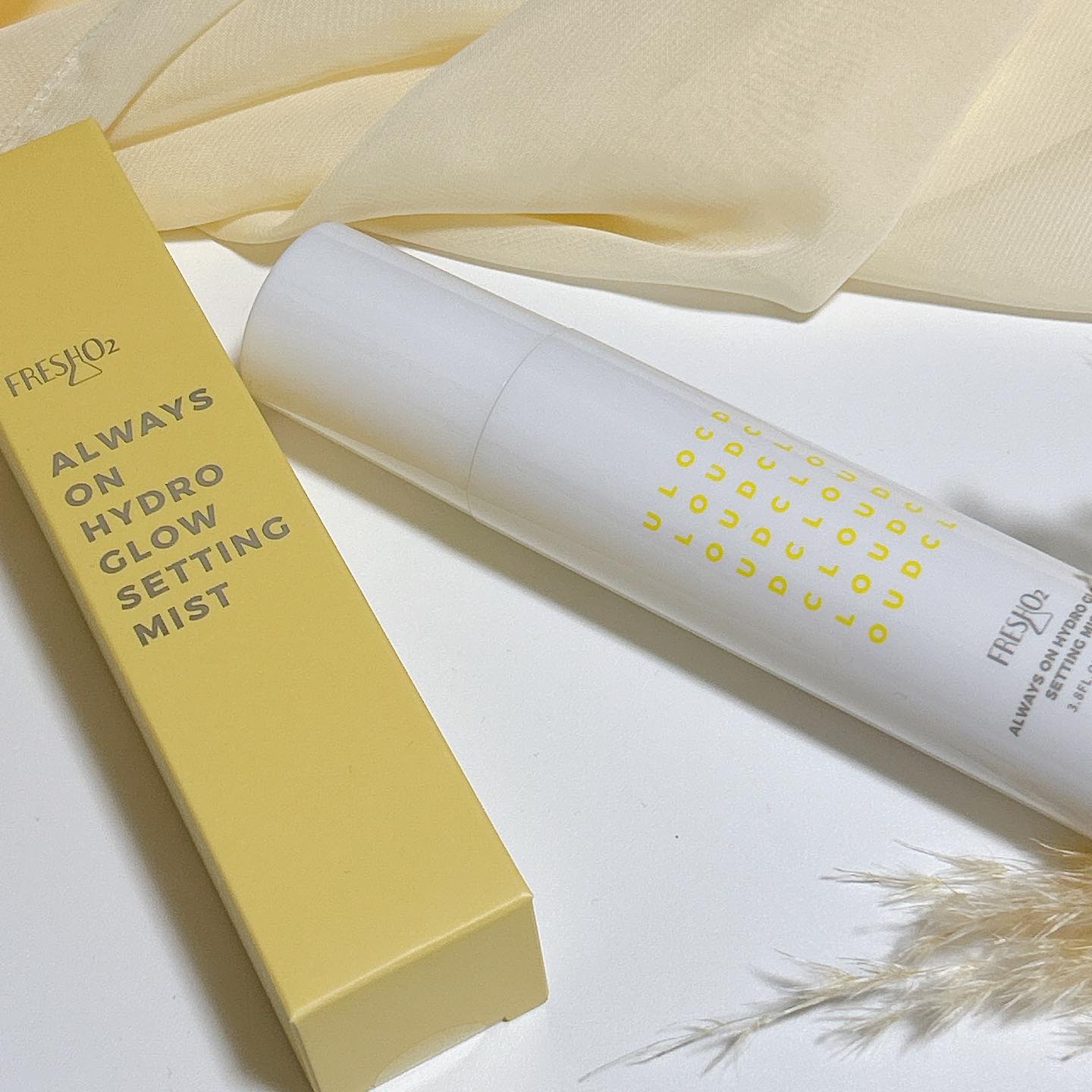 クラウドオールウェイズオン ハイドログロー メイクキー プミスト/FRESHO2/フィックスミストを使ったクチコミ（2枚目）