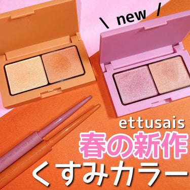 アイエディション(カラーパレット)/ettusais/アイシャドウパレットを使ったクチコミ（1枚目）