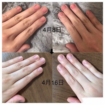 を使ったクチコミ(2枚目)