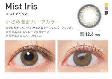 ReVIA 1day [COLOR] Mist Iris（ミストアイリス）/ReVIA/ワンデー（１DAY）カラコンを使ったクチコミ（3枚目）