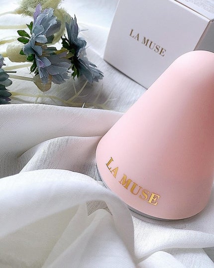 パーフェクトクーラー/ラミューズ/その他スキンケアグッズを使ったクチコミ(1枚目)