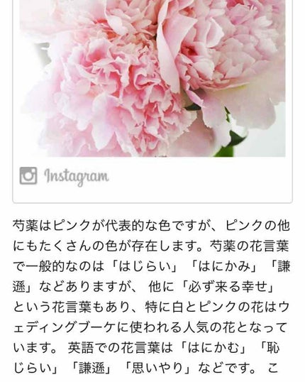 スキニーリッチシャドウ/excel/アイシャドウパレットを使ったクチコミ(2枚目)