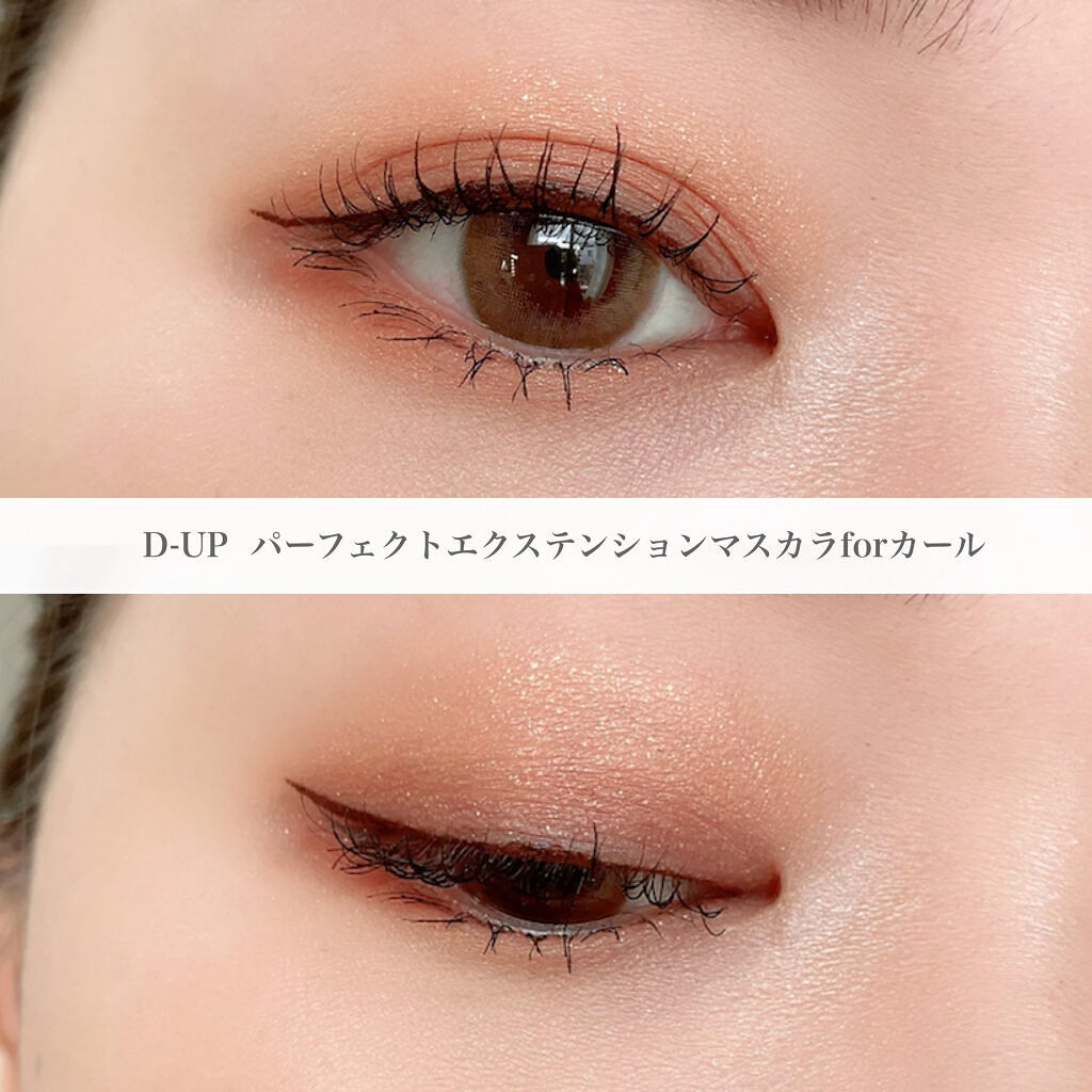 パーフェクトエクステンション マスカラ for カール/D-UP/マスカラ by リリ