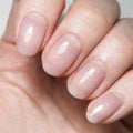 WF30 サンディーシマー(Sandy Shimmer)
