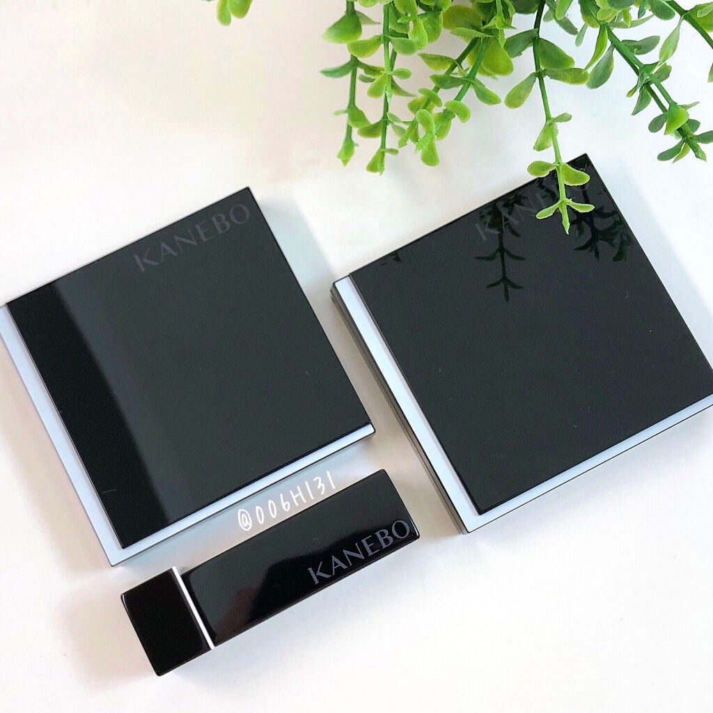 レイヤードカラーズアイシャドウ/KANEBO/アイシャドウパレットを使ったクチコミ(8枚目)