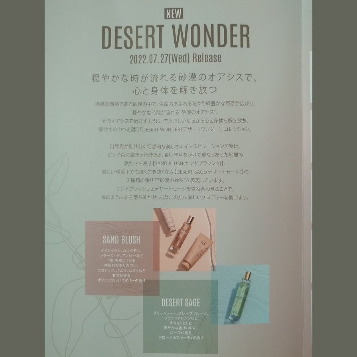 DESERT WONDER DESERT SAGE ボディクリーム/Laline/ボディクリームを使ったクチコミ(5枚目)