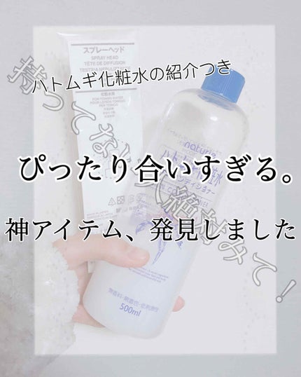 ハトムギ化粧水(ナチュリエ スキンコンディショナー R )/ナチュリエ/化粧水を使ったクチコミ(1枚目)